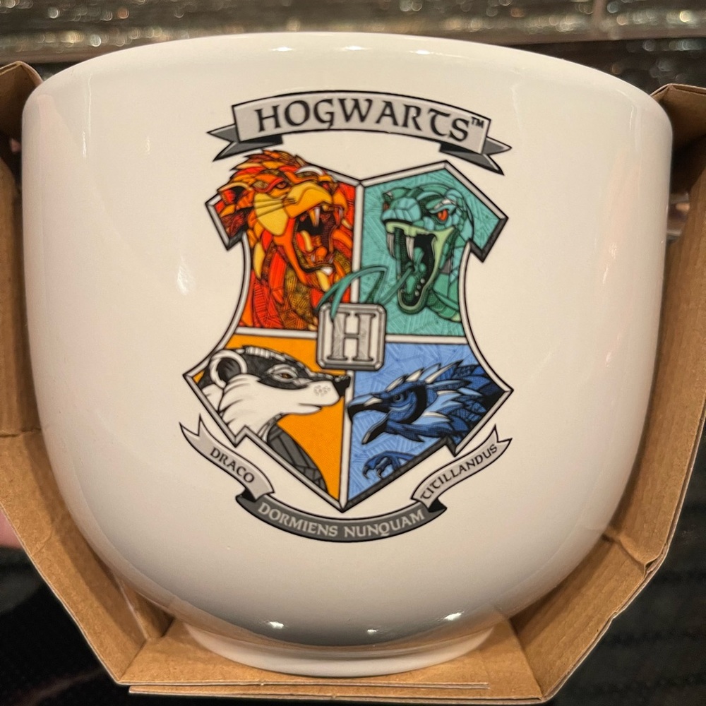 2 Harry Potter Ramen Bowl Hogwarts Crest House Gryffindor Slytherin Soup Bowls